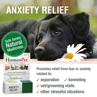 HomeoPet Anxiety Relief For Cats & Dogs (15 ml)