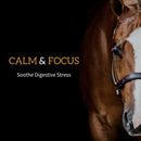 Redmond Daily Gold Natural Stress Relief for Horses (25 lb bucket)