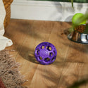 JW Pet Hol-ee Roller Toy For Dogs -Assorted Colors