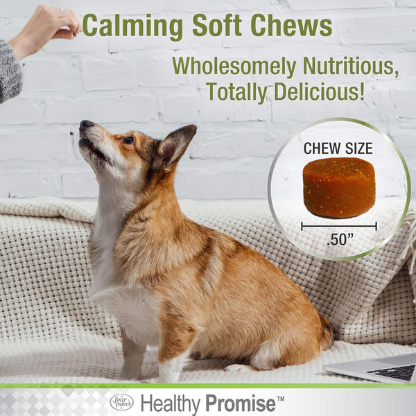 Four Paws Healthy Promise Calming Chews for Dogs (90 ct)