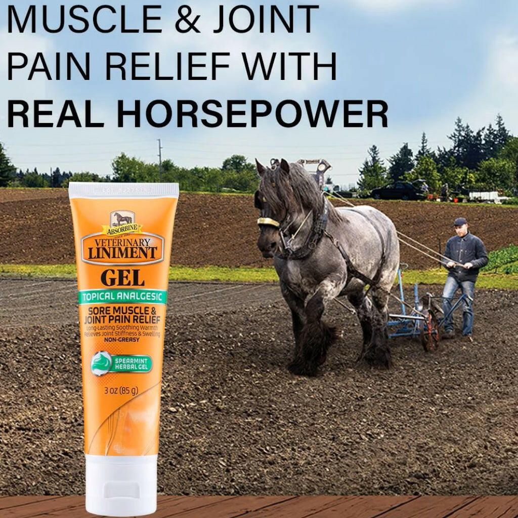 absorbine vet liniment gel provides long lasting soothing warmth and relieves horse joint stiffness and swelling.