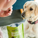 Ready Pet Go Good Gut Probiotic Support for Dogs (60 soft chews)