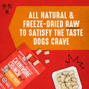 Stella & Chewy's Carnivore Crunch Grass-Fed Beef Recipe Freeze-Dried Raw Dog Treats (3.25 oz)