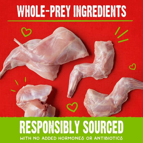 Stella & Chewy's Raw Coated Biscuits Cage-Free Duck Recipe Crunchy Dog Treats (9 oz)