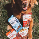 OTIS Wild Things Bison Trainers Bite-Sized Treats for Dogs (4 oz)