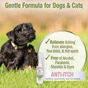 Four Paws Healthy Promise Pet Aid Fast-Acting Anti Itch Spray for Dogs & Cats (8 oz)