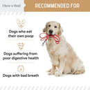 Chew + Heal Stop the Poo Chew Coprophagia Supplement for Dogs- Peanut Butter Flavor (120 Counts)