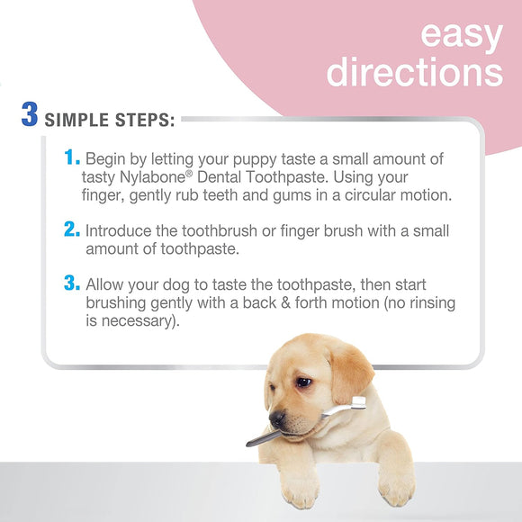Nylabone Advanced Oral Care Puppy Dental Kit with Pillowy Soft-Bristle Toothbrush & Peanut Butter Toothpaste