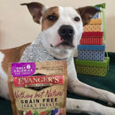 Evanger's Nothing But Natural Free-Range Buffalo Recipe Jerky Dog Treats (4.5 oz)