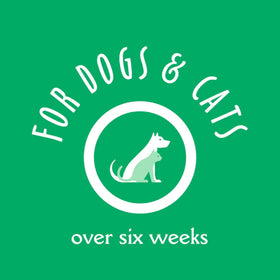 Earthbath Treatment Balm for Cracked Paws Noses & Hot Spots For Dogs & Cats (2.2 oz)