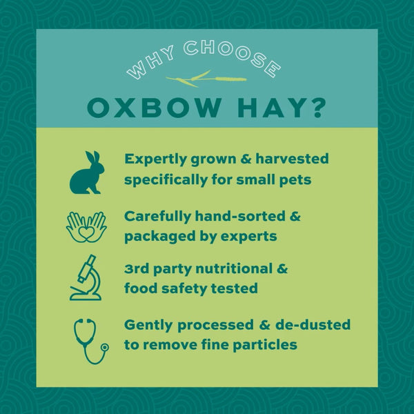 Oxbow Animal Health Orchard Grass Hay Food For Small Animals