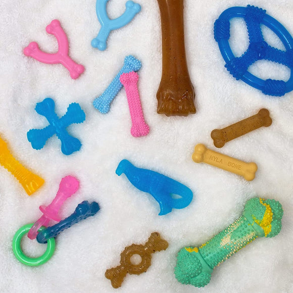 Nylabone Puppy Triple Pack Treat & Chew for Puppies- Variety Pack