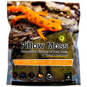 Galapagos Pillow Terrarium Moss for Tropical & Forest Tanks