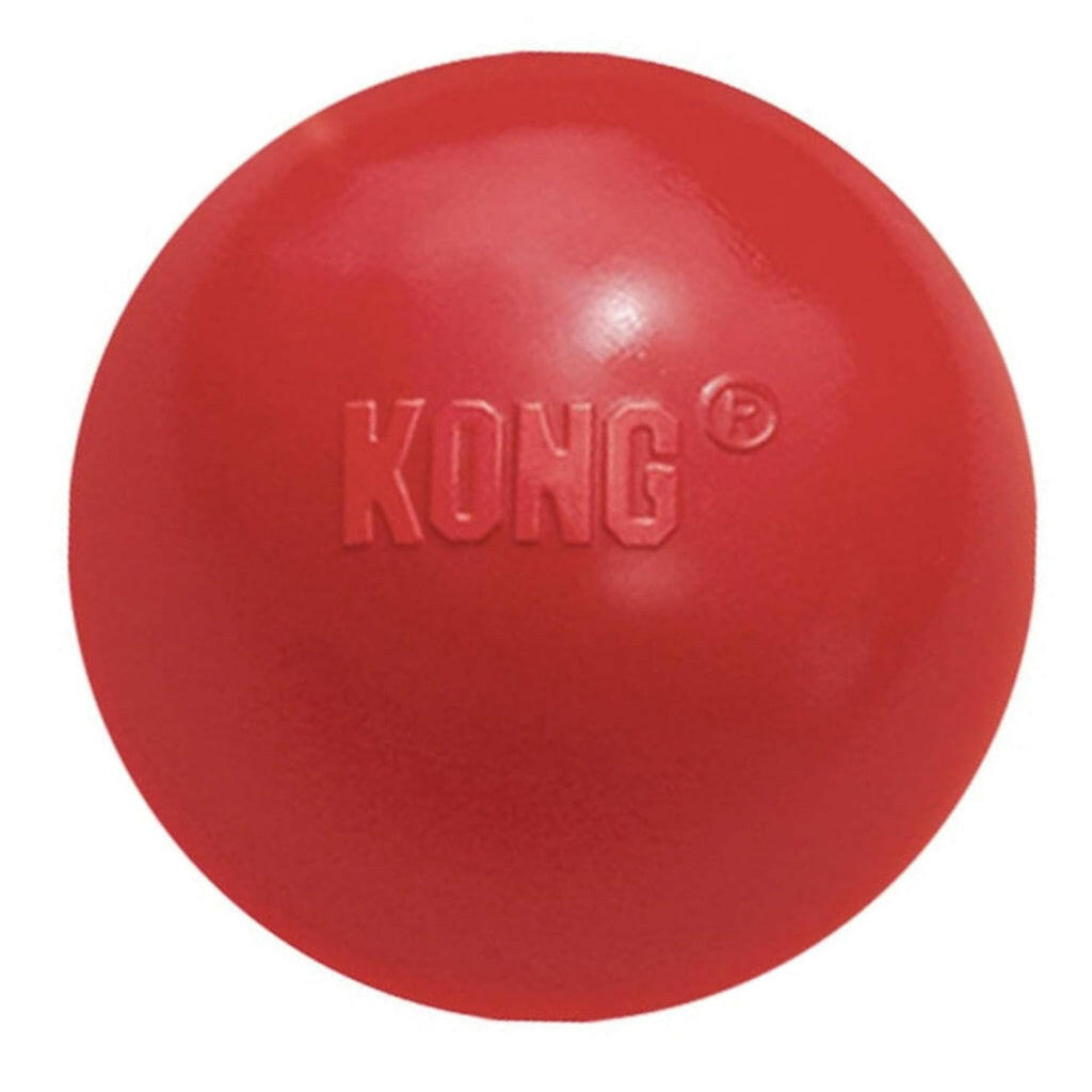 Kong Ball Fetch Toy For Dogs (Small Size)