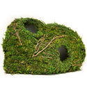 Galapagos Sapa Corner Hide Terrarium Hideaway (10 in)