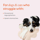 Super Snouts Pumpkin Latte Immunity & Digestion Supplement for Dogs & Cats