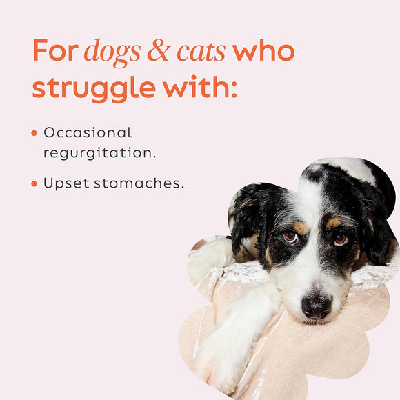 Super Snouts Pumpkin Latte Immunity & Digestion Supplement for Dogs & Cats