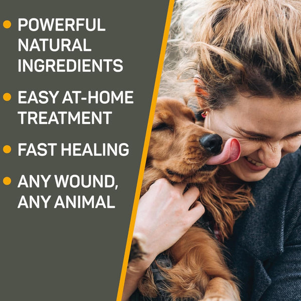 Silver honey pet ointment contains powerful natural ingredients and can be bought from the comfort of your own home. 