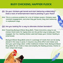 Backyard Boot Busy Balls For Digestion and Gut Health for Chickens (6 balls)
