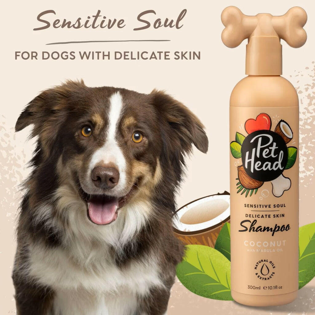 Pet Head Sensitive Soul Hypoallergenic and Moisturizing Shampoo For Dogs (16 oz)