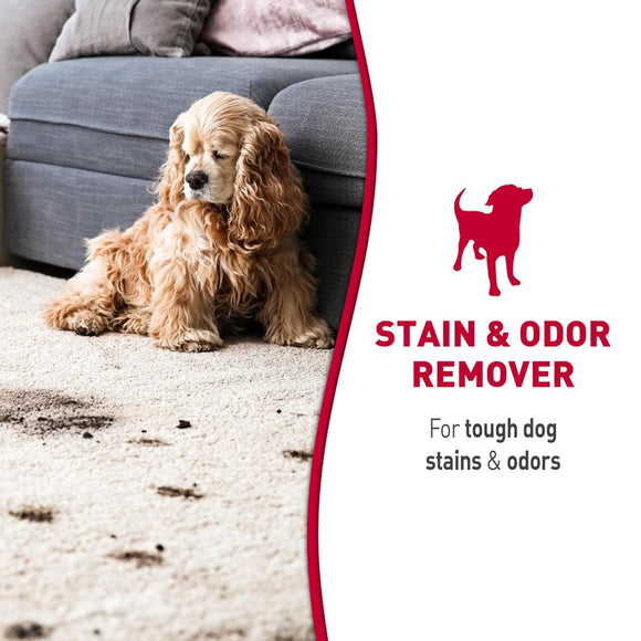 Nature's Miracle Dog Stain and Odor Remover Foam Aerosol Spray (17.5 oz)