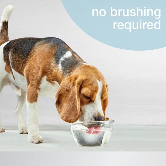 Nylabone Advanced Oral Care Dental Water Additive for Dogs