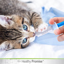 Four Paws Healthy Promise Easy Feeder Pet Feeding Syringe For Pets