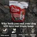 OTIS Wild Things Bison Lung Filets Treats for Dogs (4 oz)