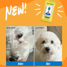 Earthbath Eye Wipes Witch Hazel & Aloe For Dog & Cats (30 ct)