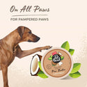 Pet Head On All Paws Coconut Paw Butter For Dogs & Cats (1.4 oz)