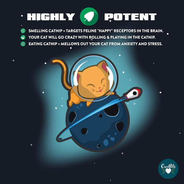 OurPets Cosmic Catnip