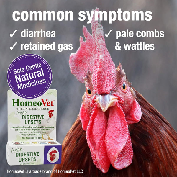 HomeoPet Avian Digestive Upsets For Poultry & Pet Birds (15 ml)