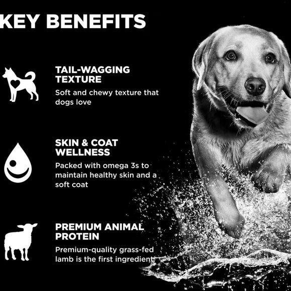 Go! Solutions Benefit Chews Skin + Coat Care Lamb Recipe Soft & Chewy Treats for Dogs (6 oz)