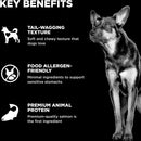 Go! Solutions Benefit Chews Sensitivies Limited Ingredient Salmon Recipe Soft & Chewy Treats for Dogs (6 oz)