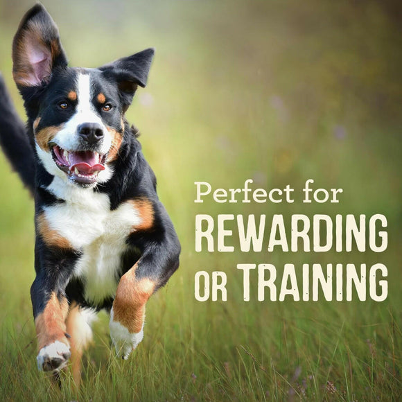 Power Bites Soft & Chewy Grain Free Real Salmon Dog Treats (6 oz)