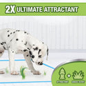 Four Paws Wee-Wee Ultimate Attractant Dog Pee Pads with Grass Scent- 22 x 23 inch