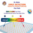 Dr. Bales Early Detection Health Monitoring Pee Pads for Dogs (22in x 22in)