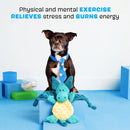 BARK Dingbert the Dragon Squeaky Plush Dog Toy