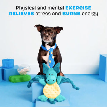 BARK Dingbert the Dragon Squeaky Plush Dog Toy