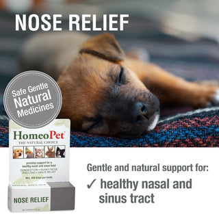 HomeoPet Nose Relief For Cats (15 ml)