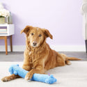 Multipet Loofa Dog The Original Squeaky Plush Toy For Dogs (color varies)