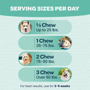 Ready Pet Go Seasonal Allergy Support for Dogs (60 soft chews)