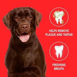 SENTRY Petrodex Enzymatic Toothpaste Dog Poultry Flavor (2.5oz)