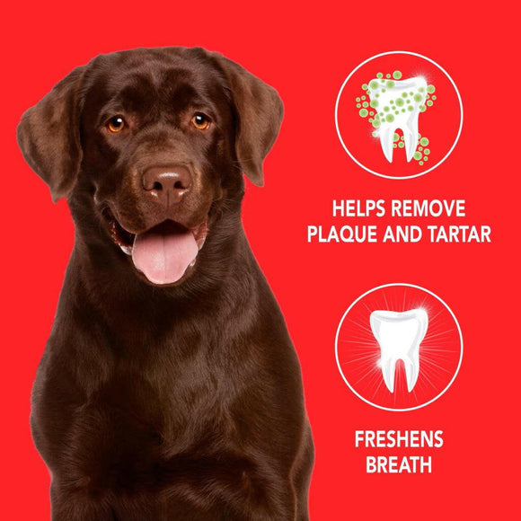 SENTRY Petrodex Enzymatic Toothpaste Dog Poultry Flavor (2.5oz)