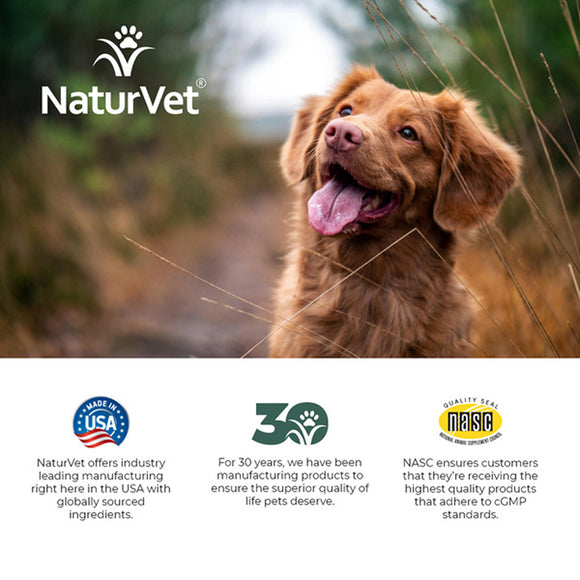 NaturVet Adult Daily Care Multi-Benefit 10-in-1 Support For Dogs -60 Soft Chews