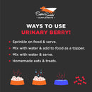 Super Snouts Urinary Berry Cranberry & Blueberry Bladder + U.T. Supplement for Dogs & Cats (2.6 oz)