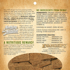 Evanger's Nothing But Natural Holistic Chicken Recipe Jerky Dog Treats (4.5 oz)