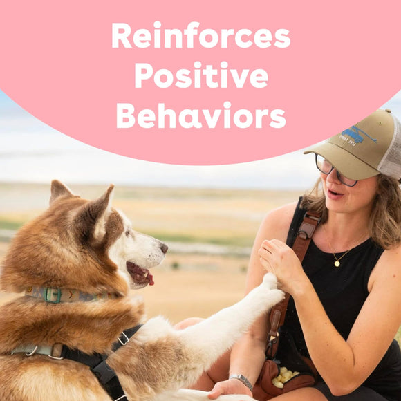 Pupford Train Freeze-Dried Rabbit Training Treats for Dogs (4 oz)