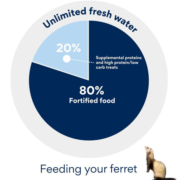 Oxbow Real Prey Turkey Ferrets Rewards Ferret Crunchy & Chewy Treats (3 oz)