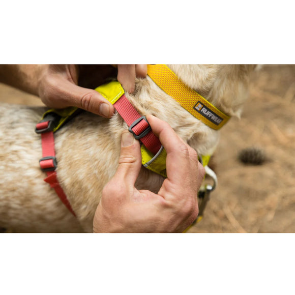 Ruffwear Hi & Light Dog Harness- Sage Green